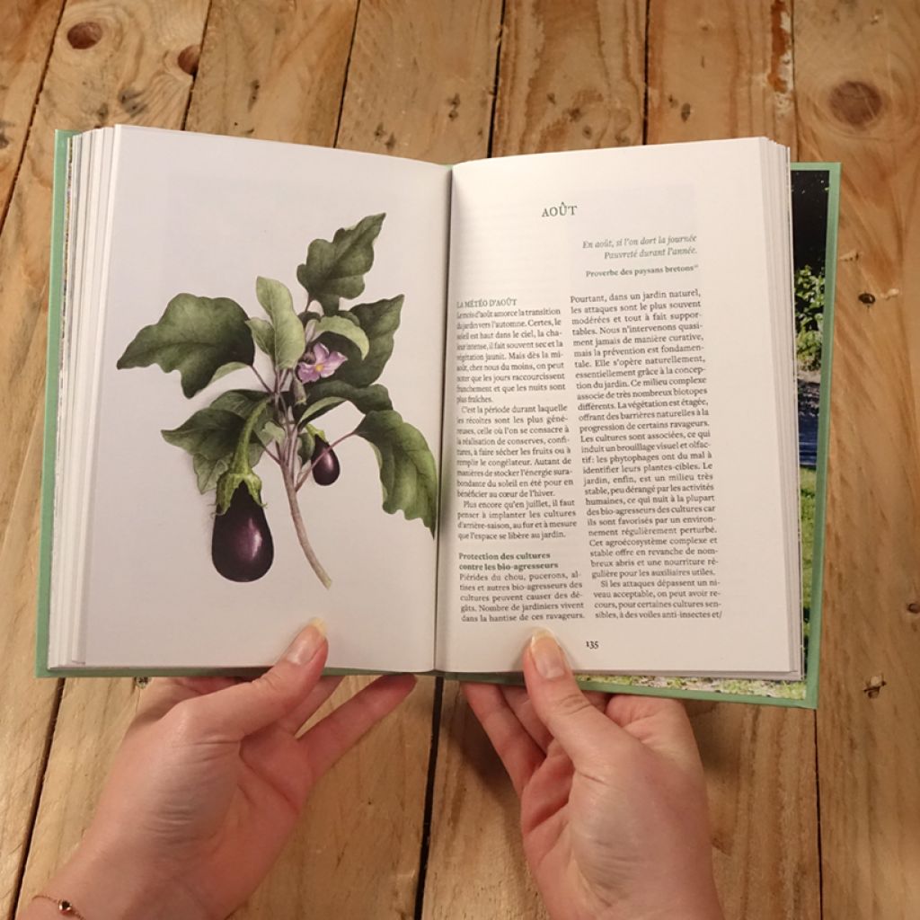 Se nourrir de son jardin - Une année au potager permaculture