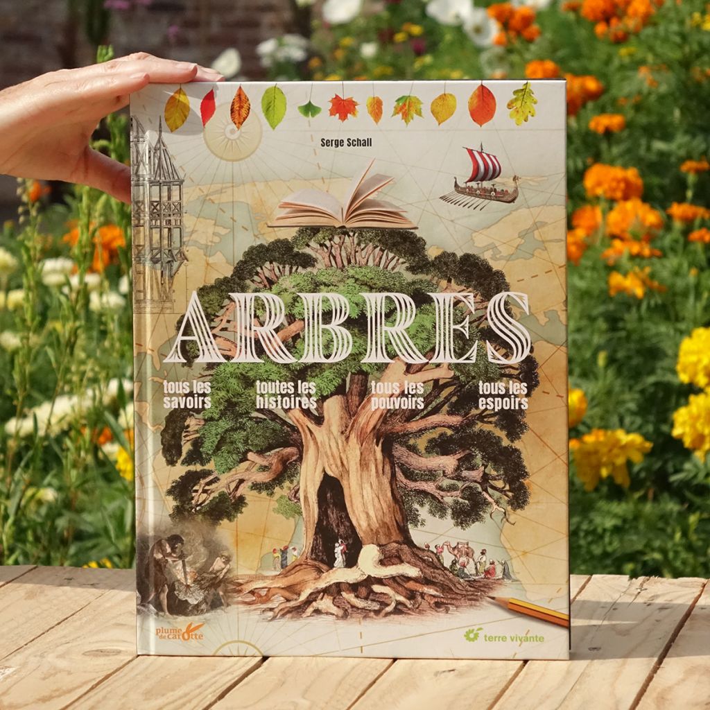 Arbres 