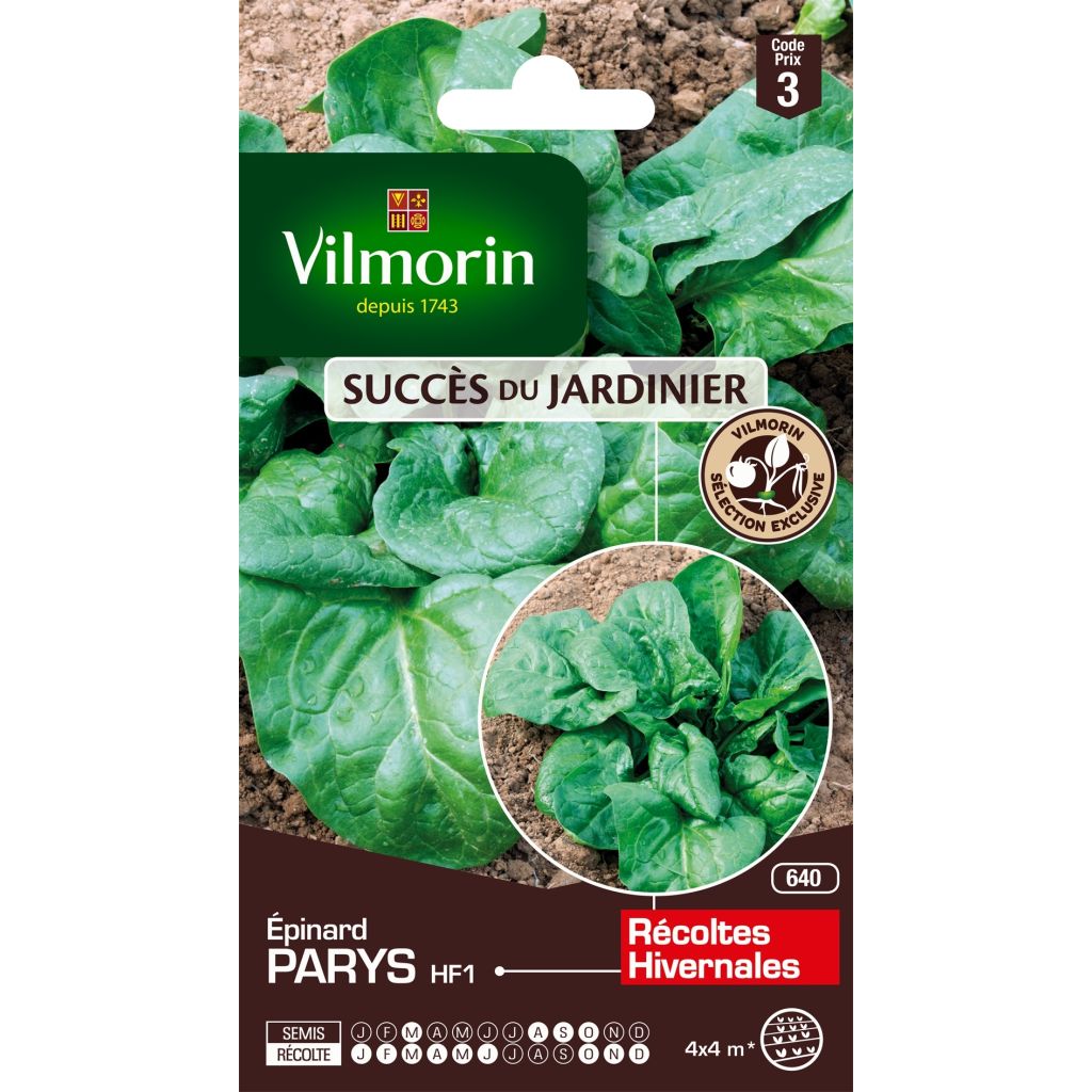 Épinard Parys HF1 (Création Vilmorin) - Vilmorin