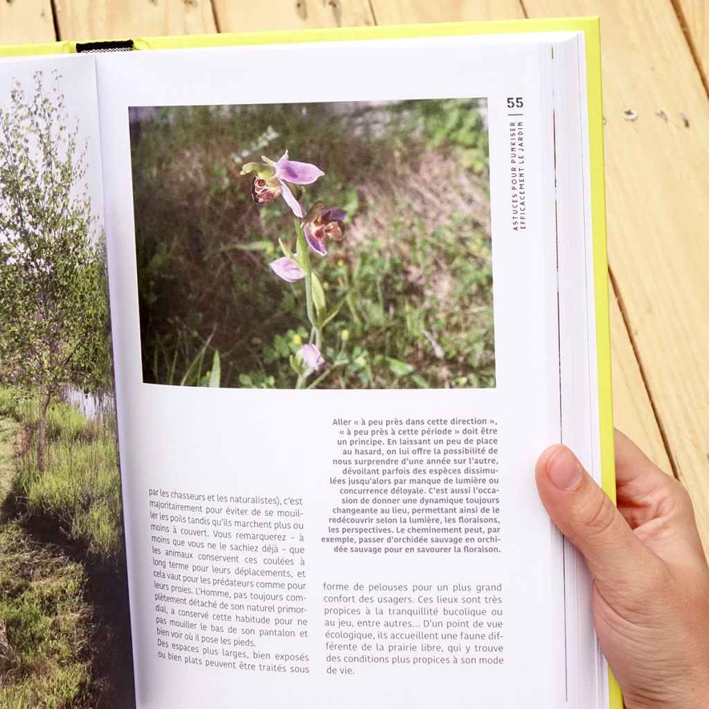 Le grand traité du jardin punk