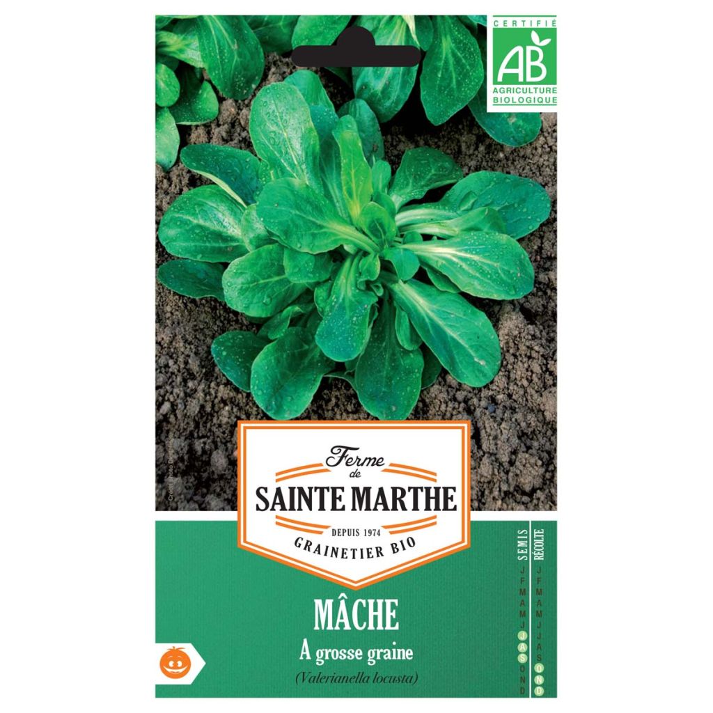 Mâche à Grosse Graine Bio - Ferme de Sainte Marthe