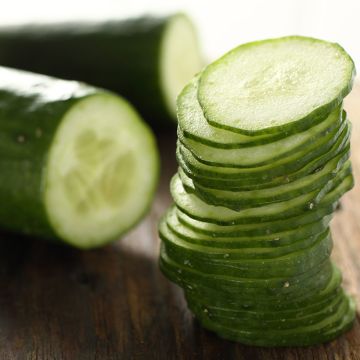 Concombre Patio Snacker F1 - Cucumis sativus