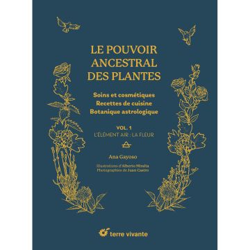 Le pouvoir ancestral des plantes