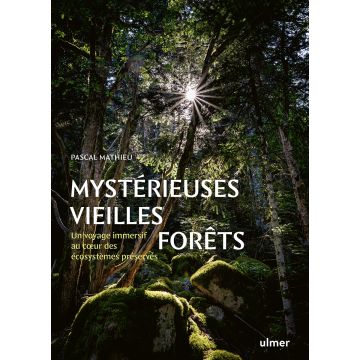 Mystérieuses vieilles forêts
